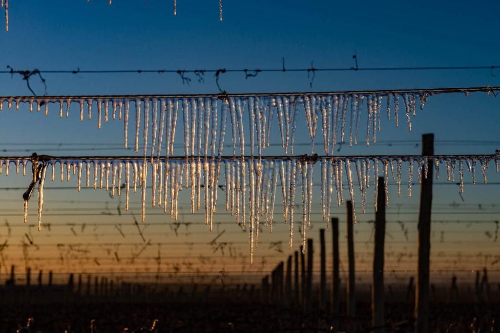 extreme temps