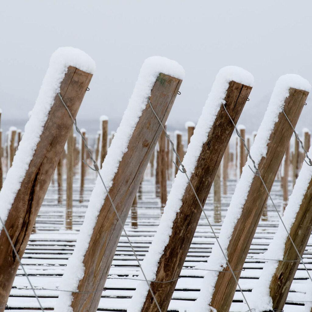 snow stakes e1738350233703